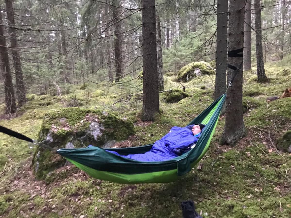 Take a Nap in The Quiet of The Forest