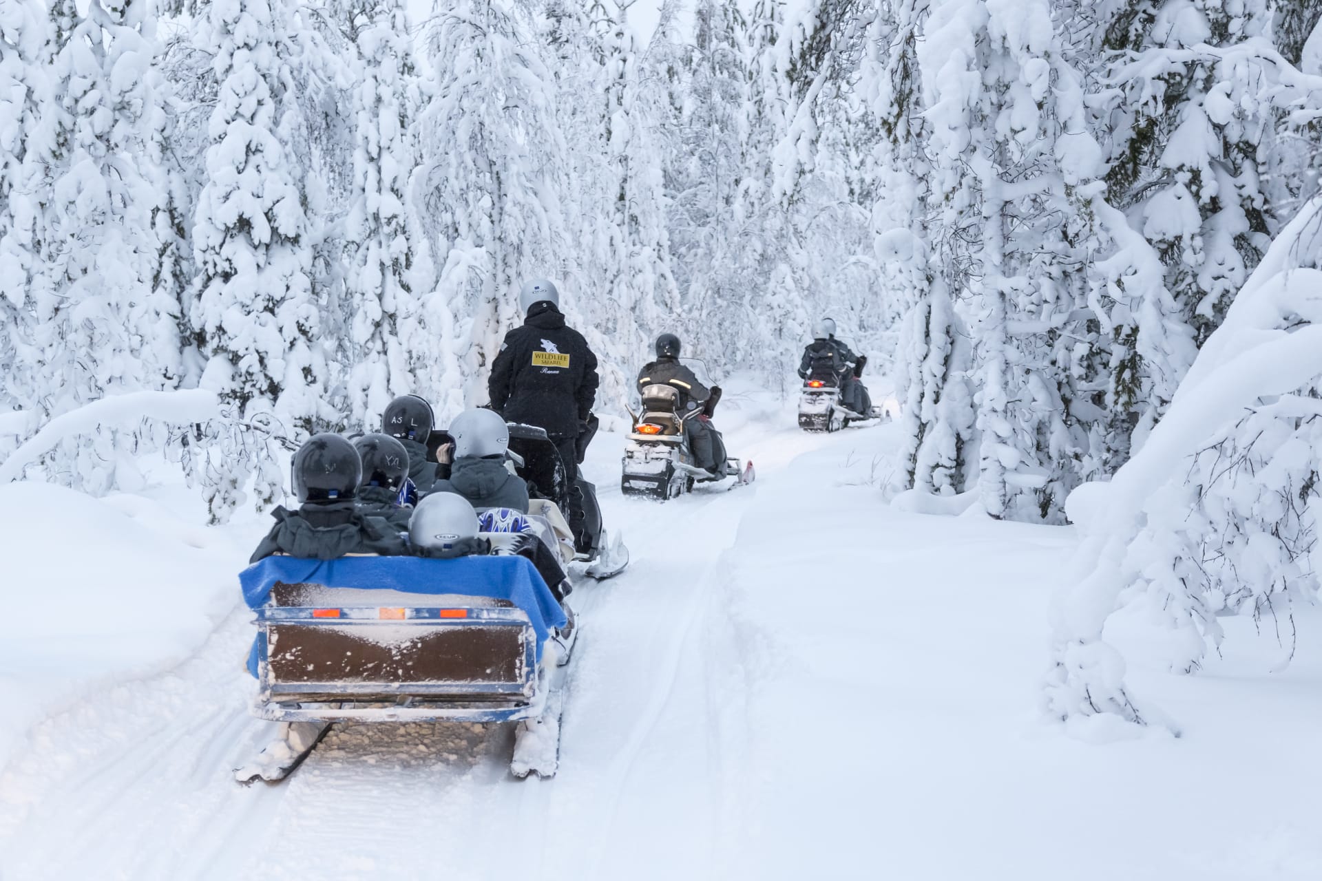 Snowmobile safari driving in the forest with a sleigh full of children