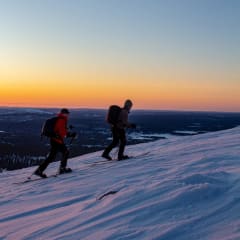 Koko päivä retki lumikengillä