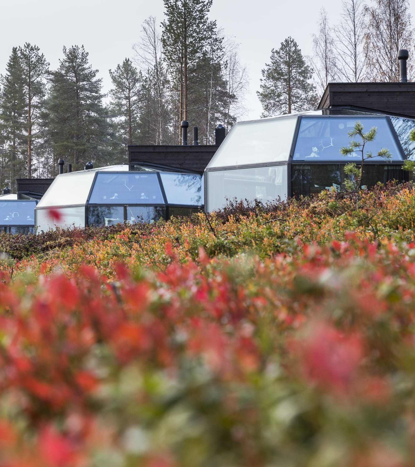 Arctic Igloos during Autumn foliage