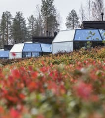 Arctic Igloos during Autumn foliage