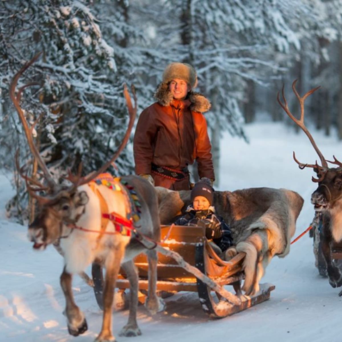 Reindeer sleigh ride in Santa Claus Village