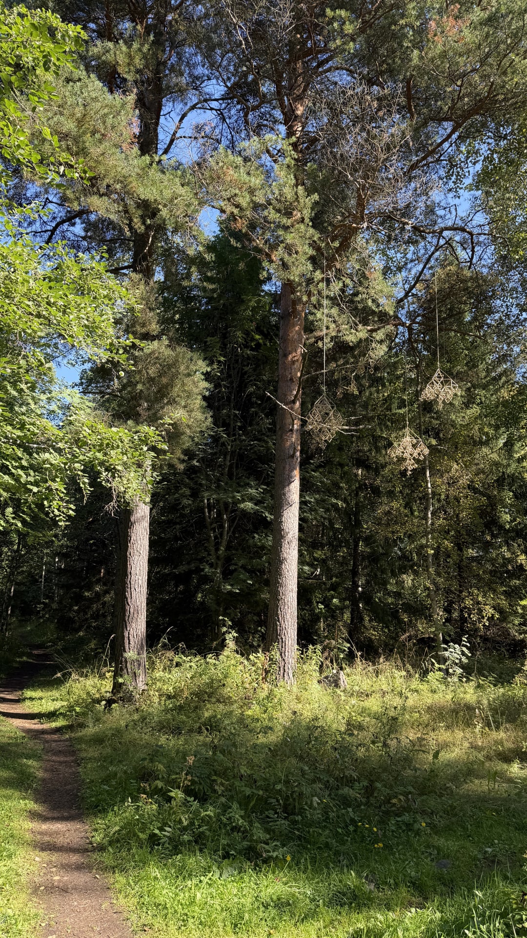 Himmeleitä taidepolulla