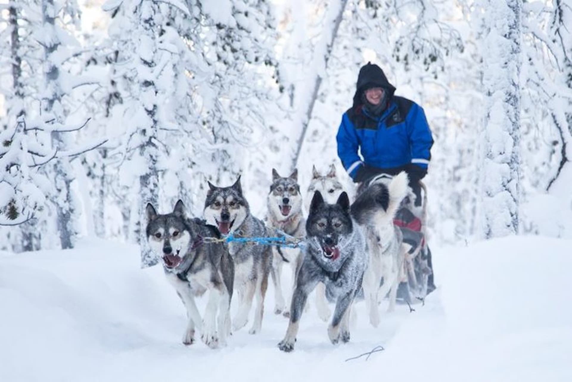 Nellim Winter Adventure Week