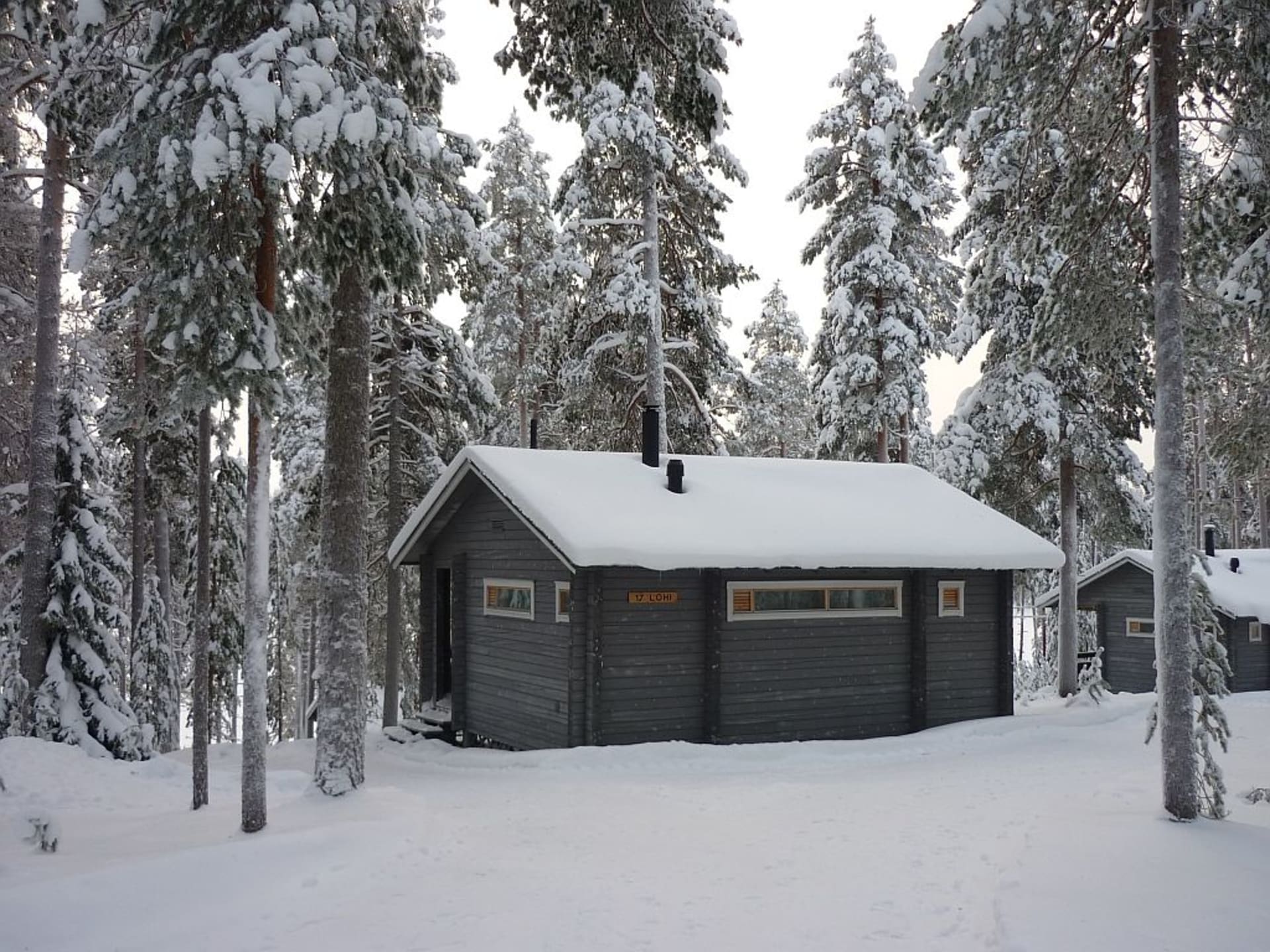 A cabin in the middle of the snowy forest