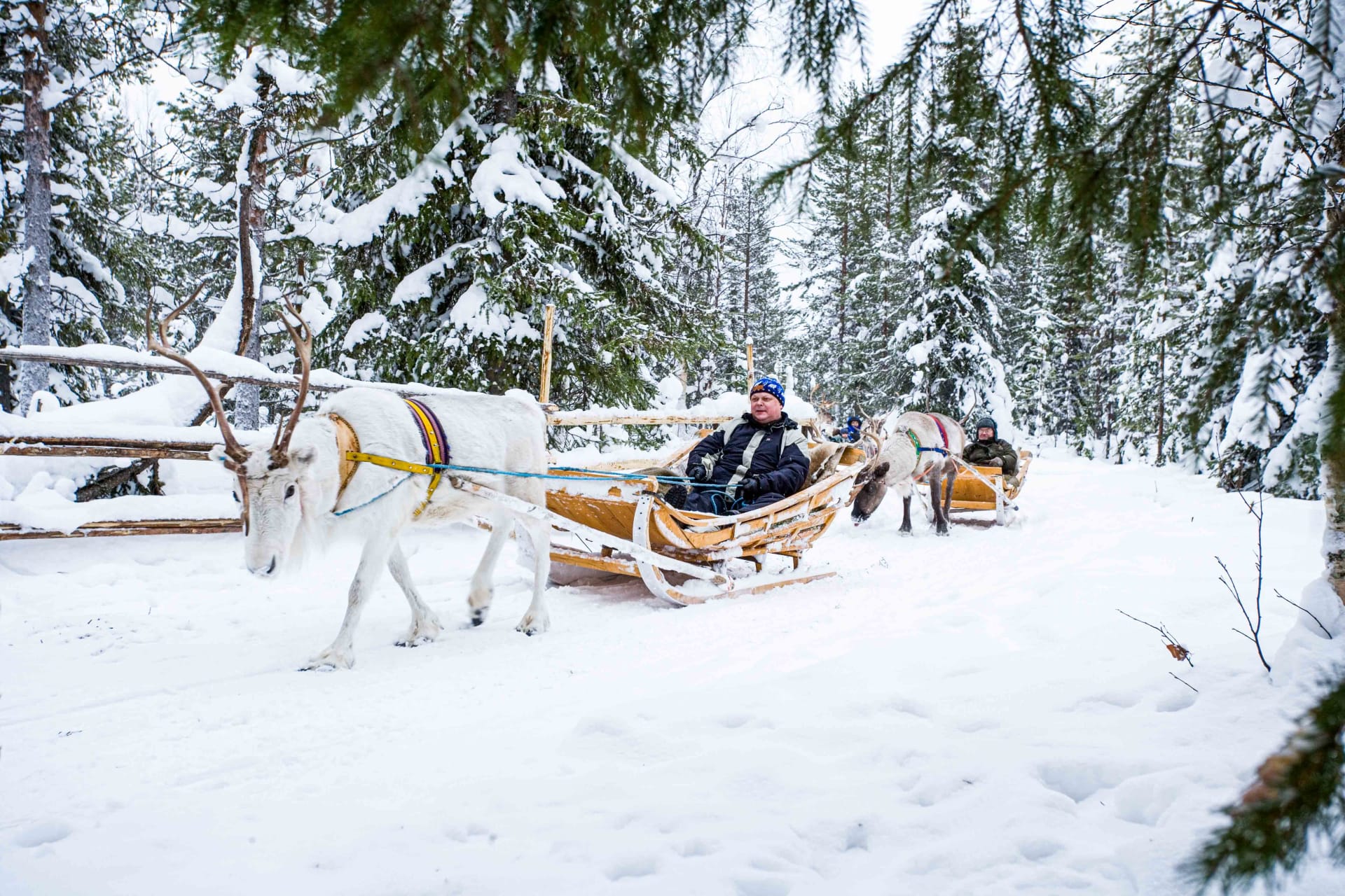Reindeer sleigh ride included.