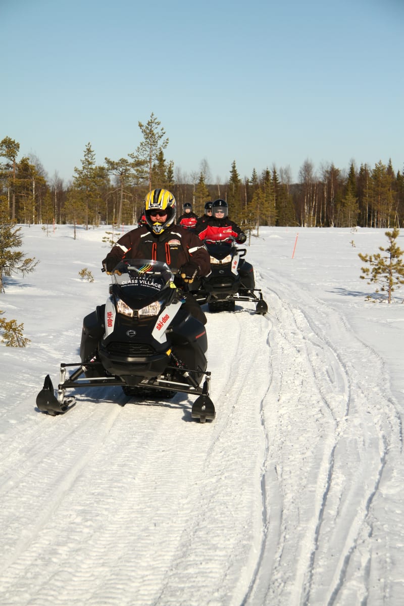 Snowmobiling Finland Snowmobile Safari to Reindeers | Visit Finland