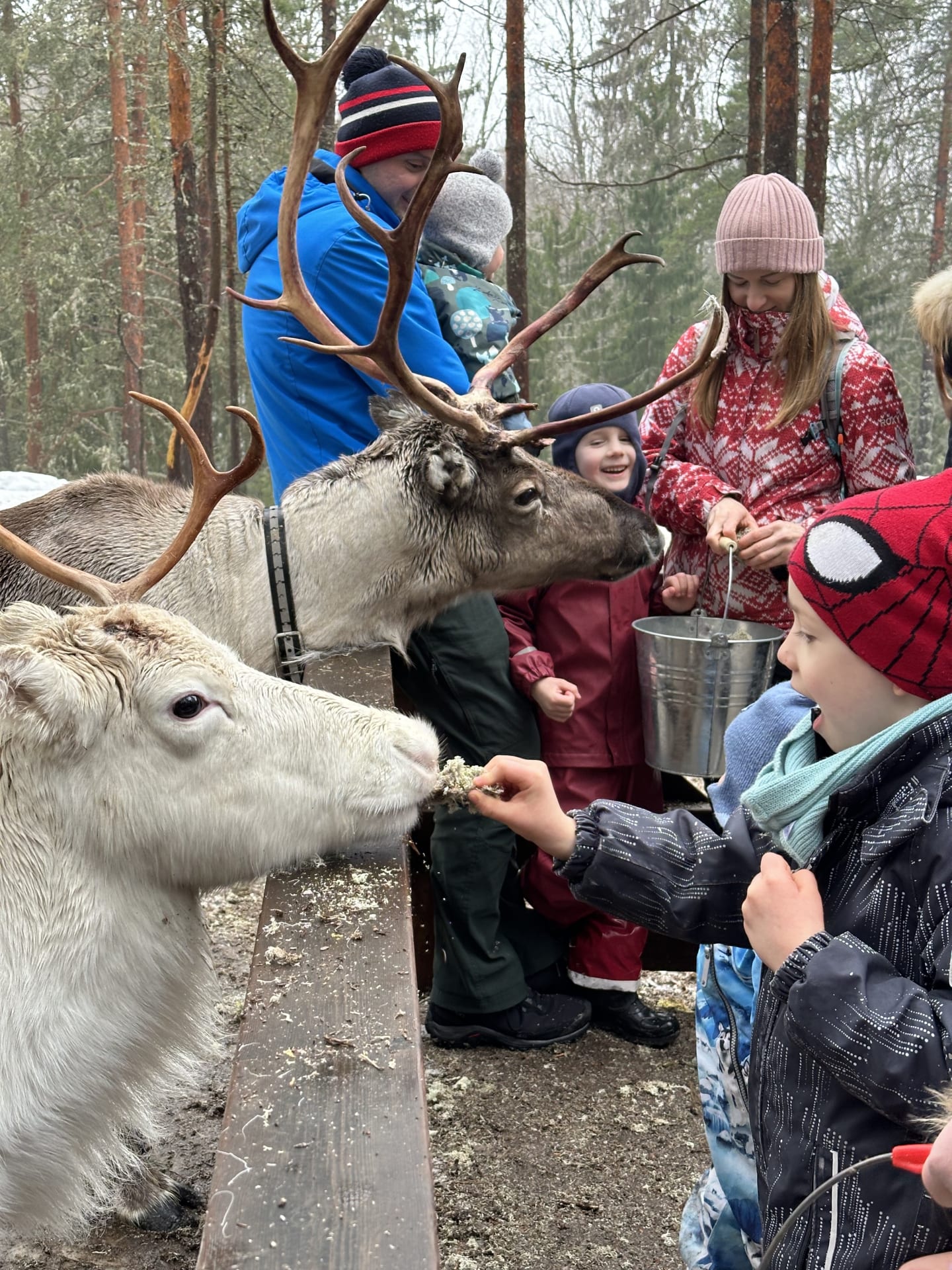 ヌークシオ トナカイパーク | Visit Finland