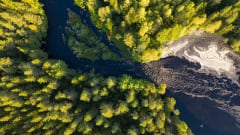 Ilmakuva vihreästä metsästä, jonka läpi virtaa kuohuva joki koskineen. / Aerial view of a green forest with a bubbling river and rapids flowing through it. Kuva: Harri Tarvainen.