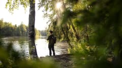 Kalastaja seisoo joen äärellä ja pitelee onkivapaa kesäisessä maisemassa. / A fisherman standing on the riverside holding a fishing rod. Kuva: Harri Tarvainen.