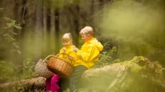 Lapset istuvat kaatuneella puunrungolla sienikorit käsissään ja tutkivat sieniä. / Two children sitting on a log holding baskets and watching mushroom. Kuva: Harri Tarvainen.