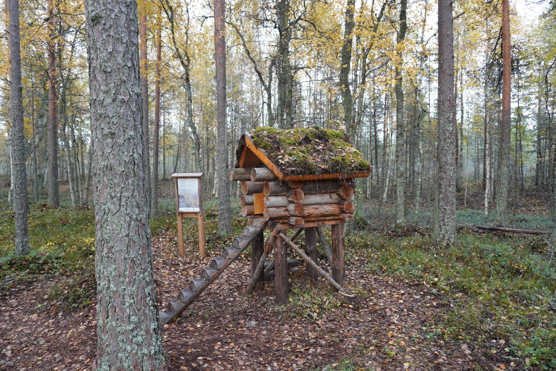 Willpertti´s cottage