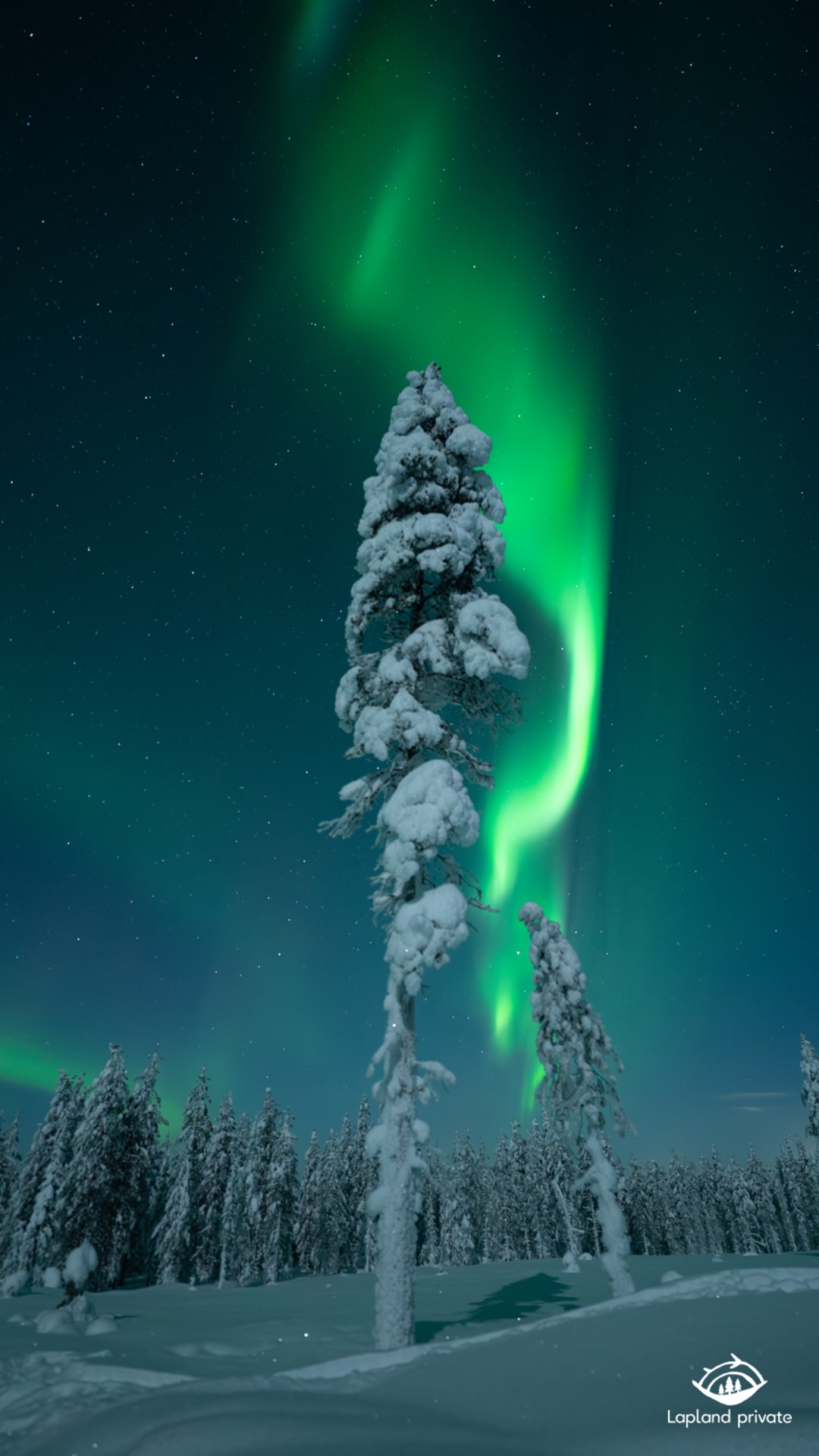 Northern Lights