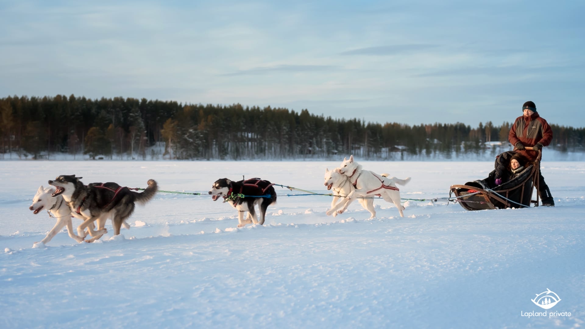 Private Husky Safari