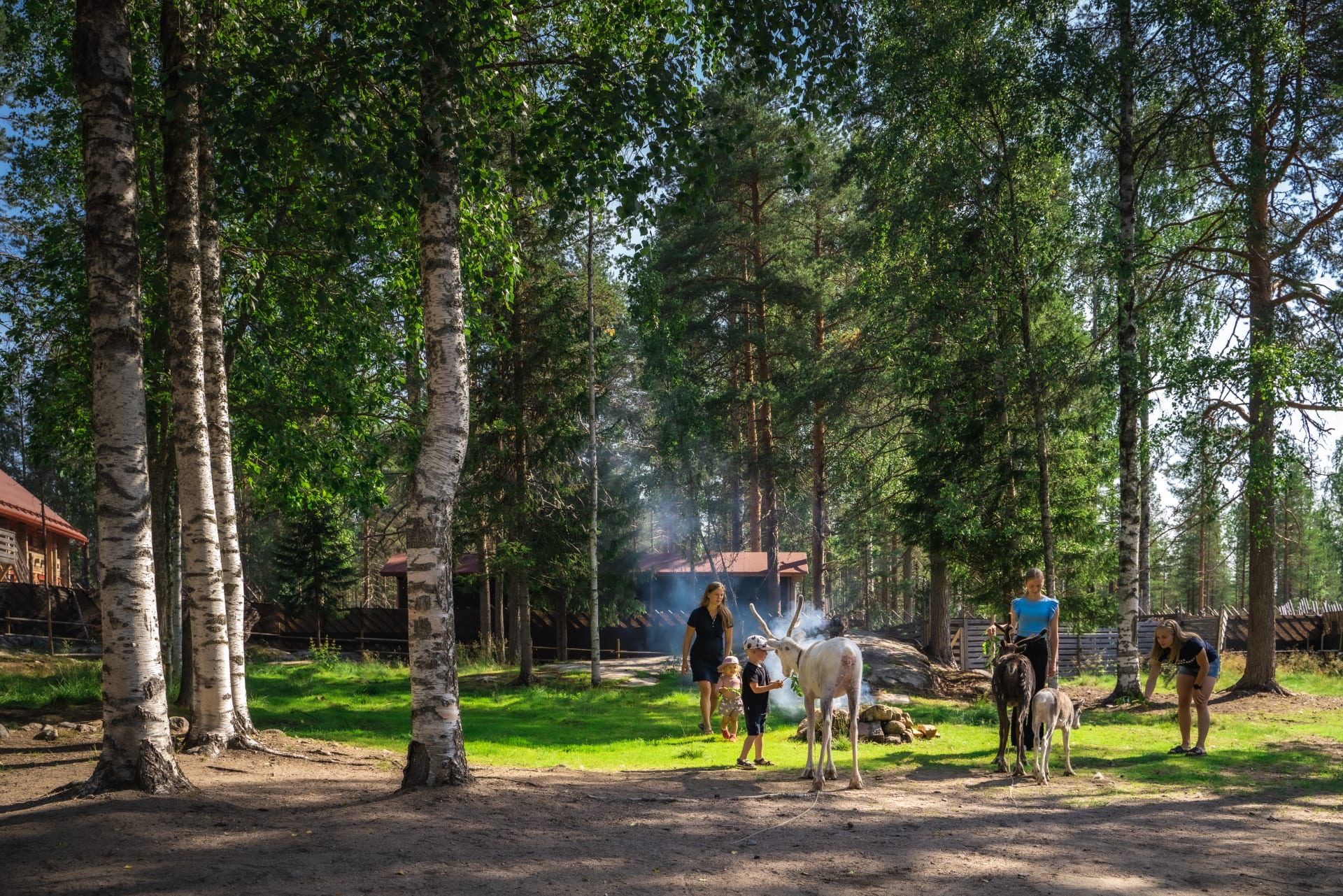 Summer activity with local guides
