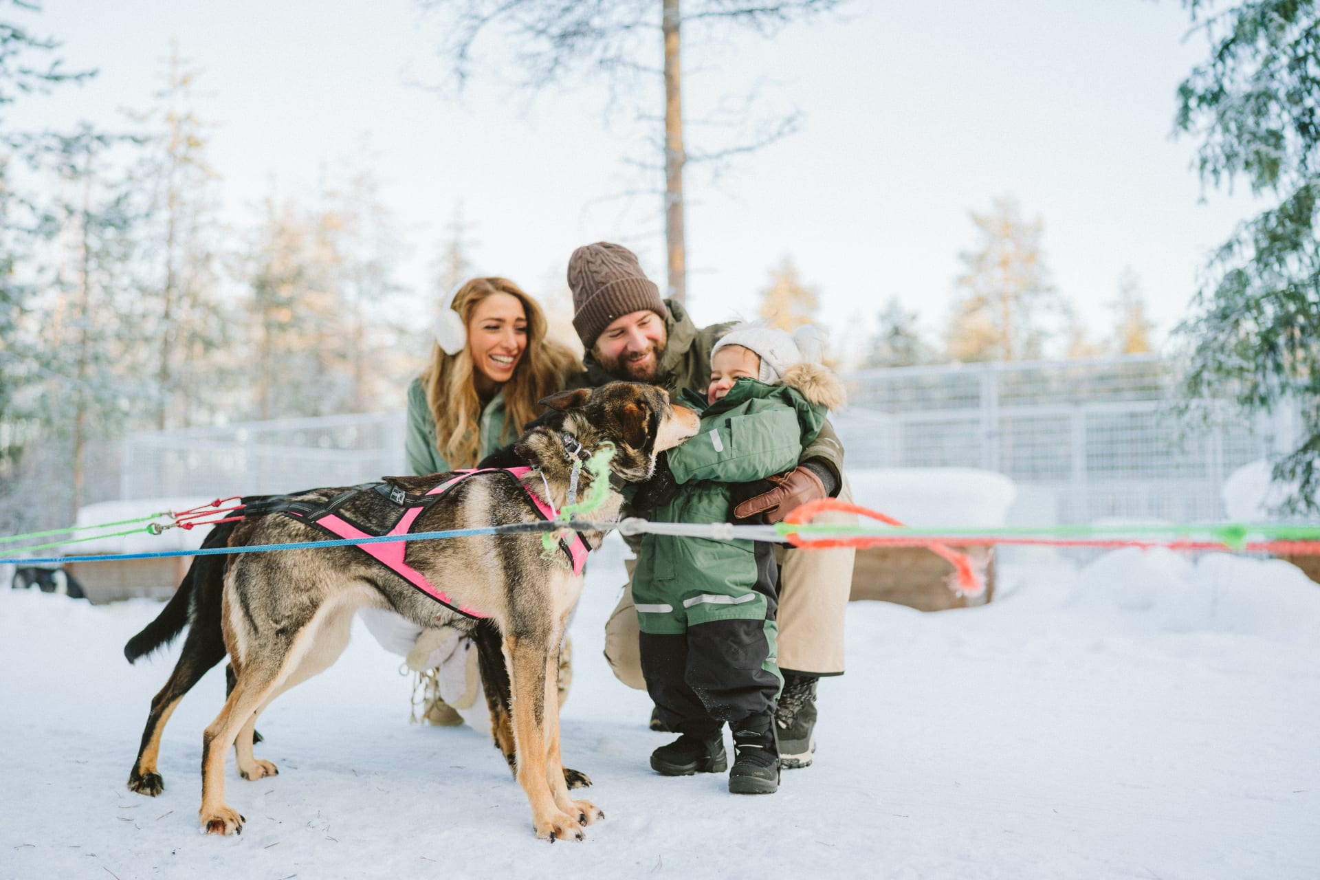 husky family