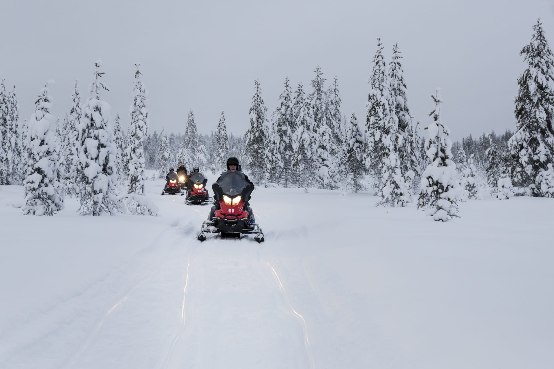Snowmobiles driving through snow covered forest