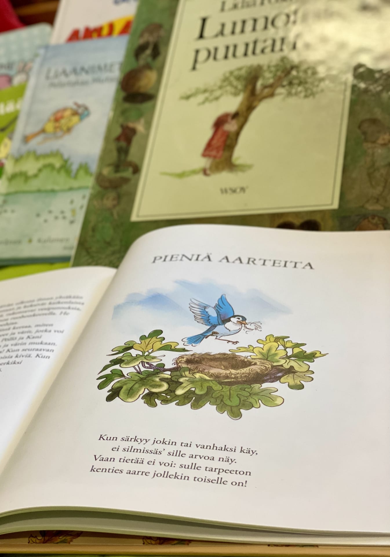 Kirja, jossa "pieniä aarteita" teksti