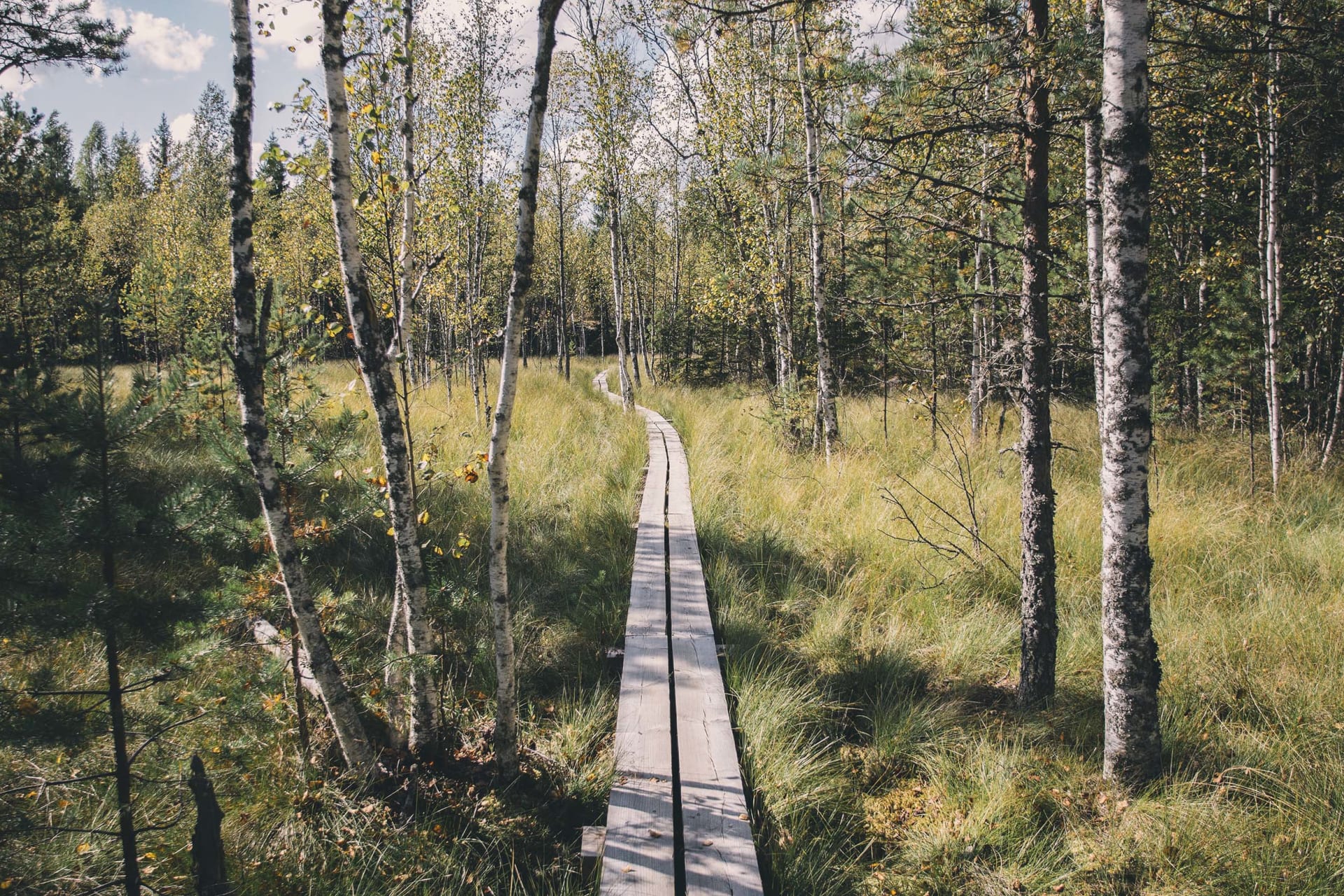 Kymijoki