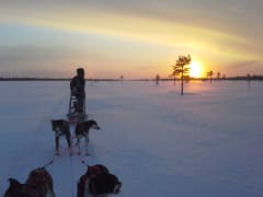 15km Husky safari talviseen ihmemaahan