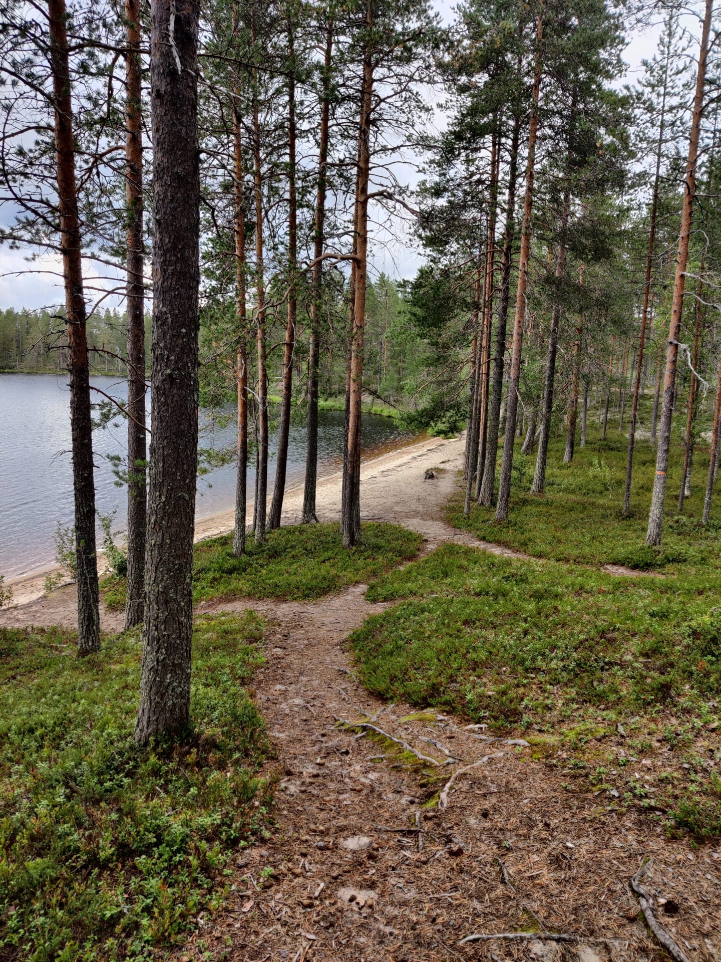 Peurajärven uimaranta.