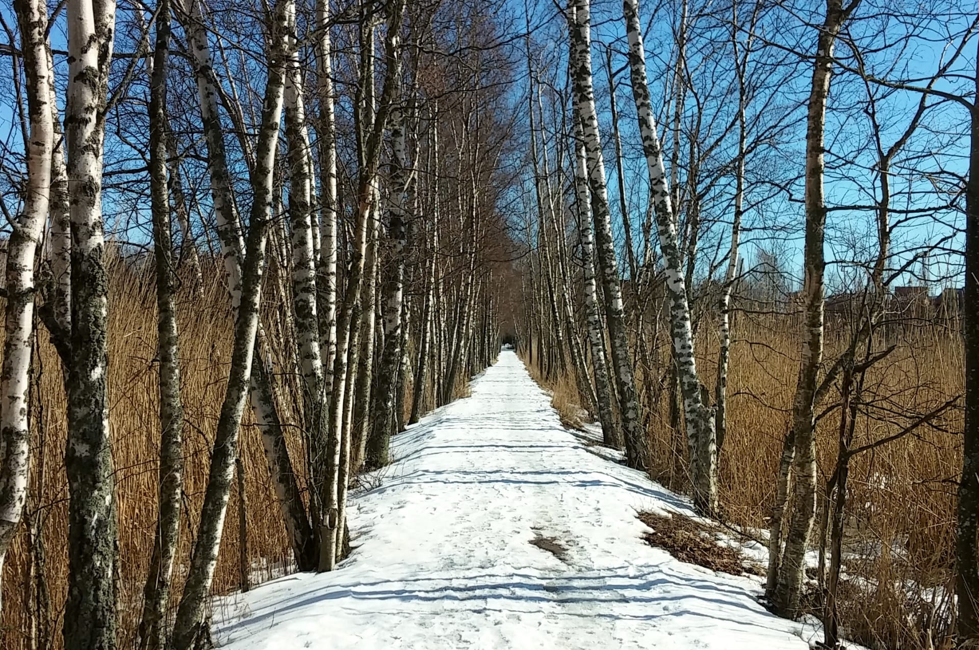 Laajalahti Nature Reserve Walk