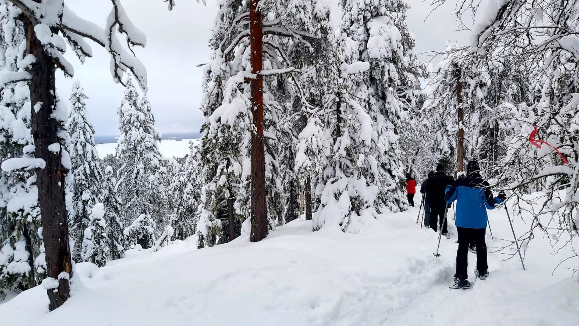 Snowshoeing_in_Vuokatti