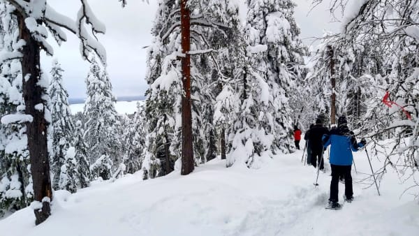 Snowshoeing_in_Vuokatti