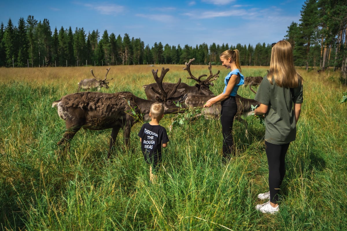 Family friendly visit with arctic animals