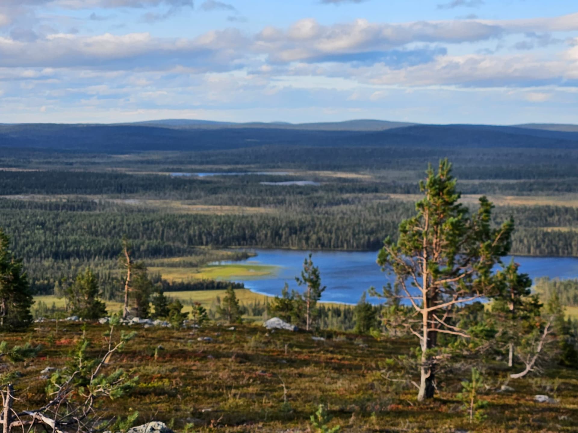 Linkusilmä pond