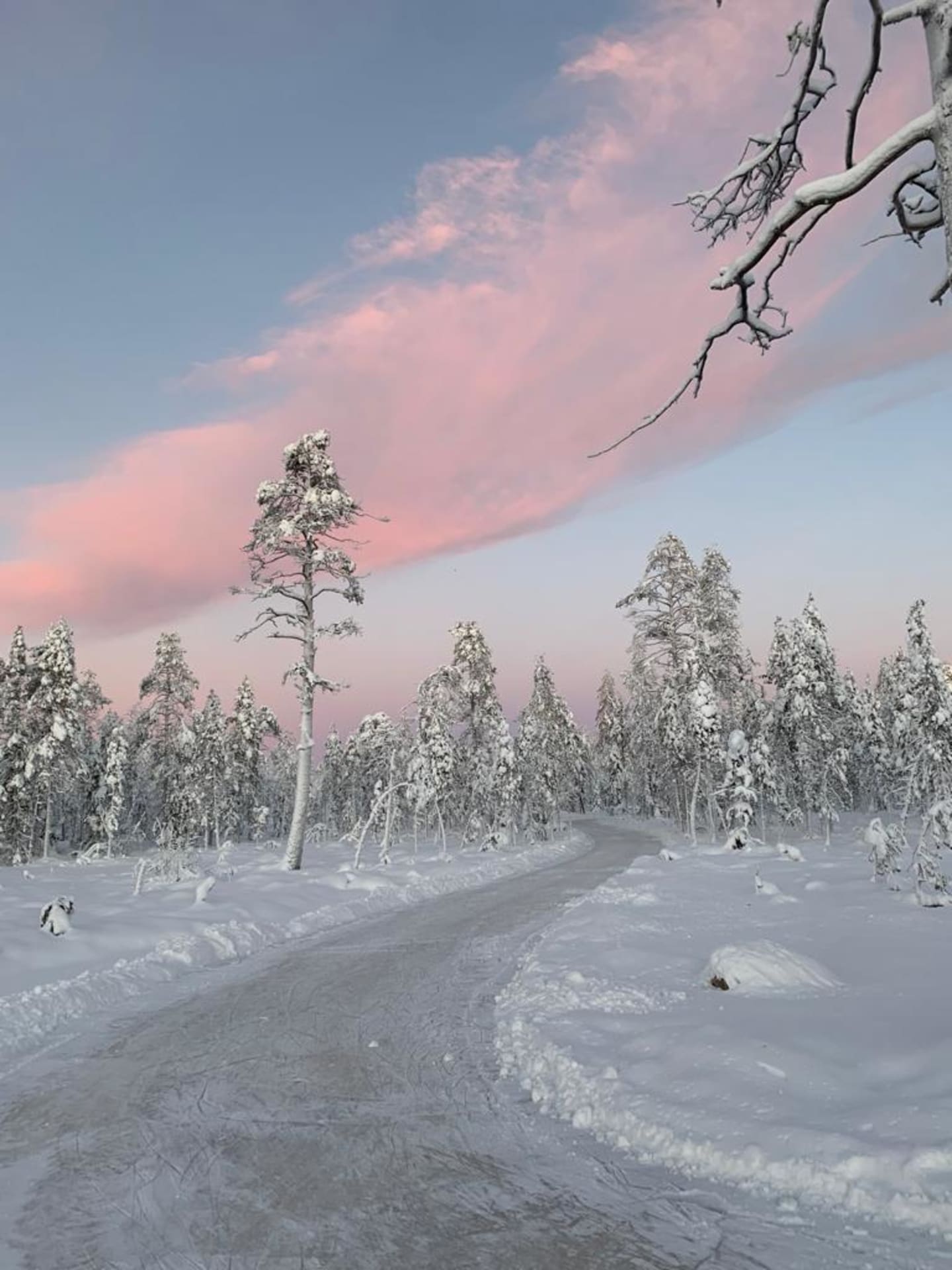 Ice skating track in Lappish forest