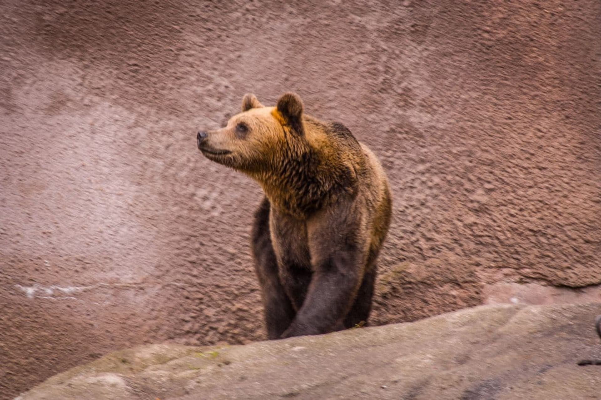 Ranua zoo