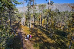 Kaksi hymyilevää pyöräilijää talvisessa metsässä Pyhä-Luoston kansallispuistossa. Kuva: Teemu Kuisma.