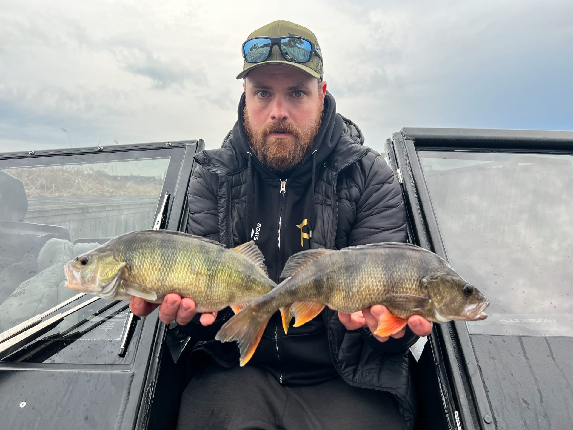 Big Perchs of Archipelago sea Big Perchs of Archipelago sea