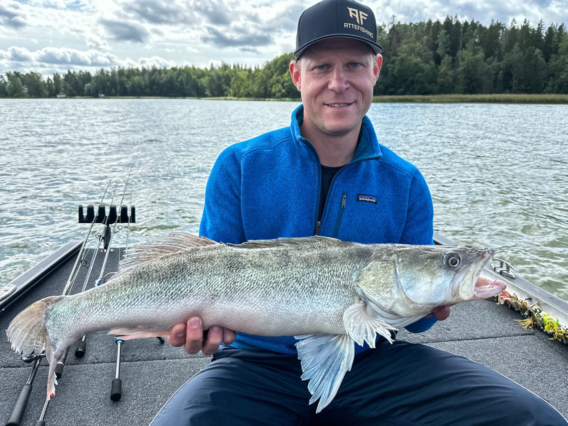 Big Zander of Archipelago sea Big Zander of Archipelago sea