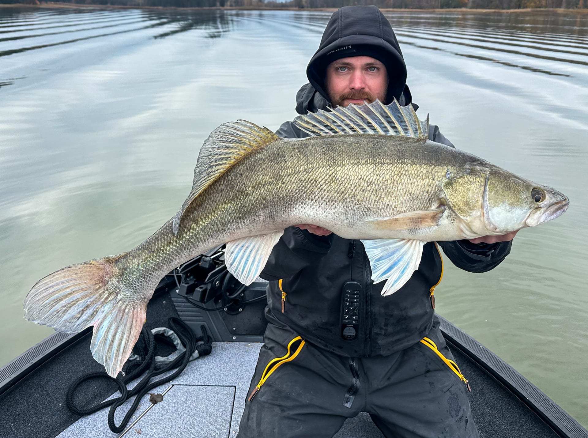 Big Zander of Archipelago sea