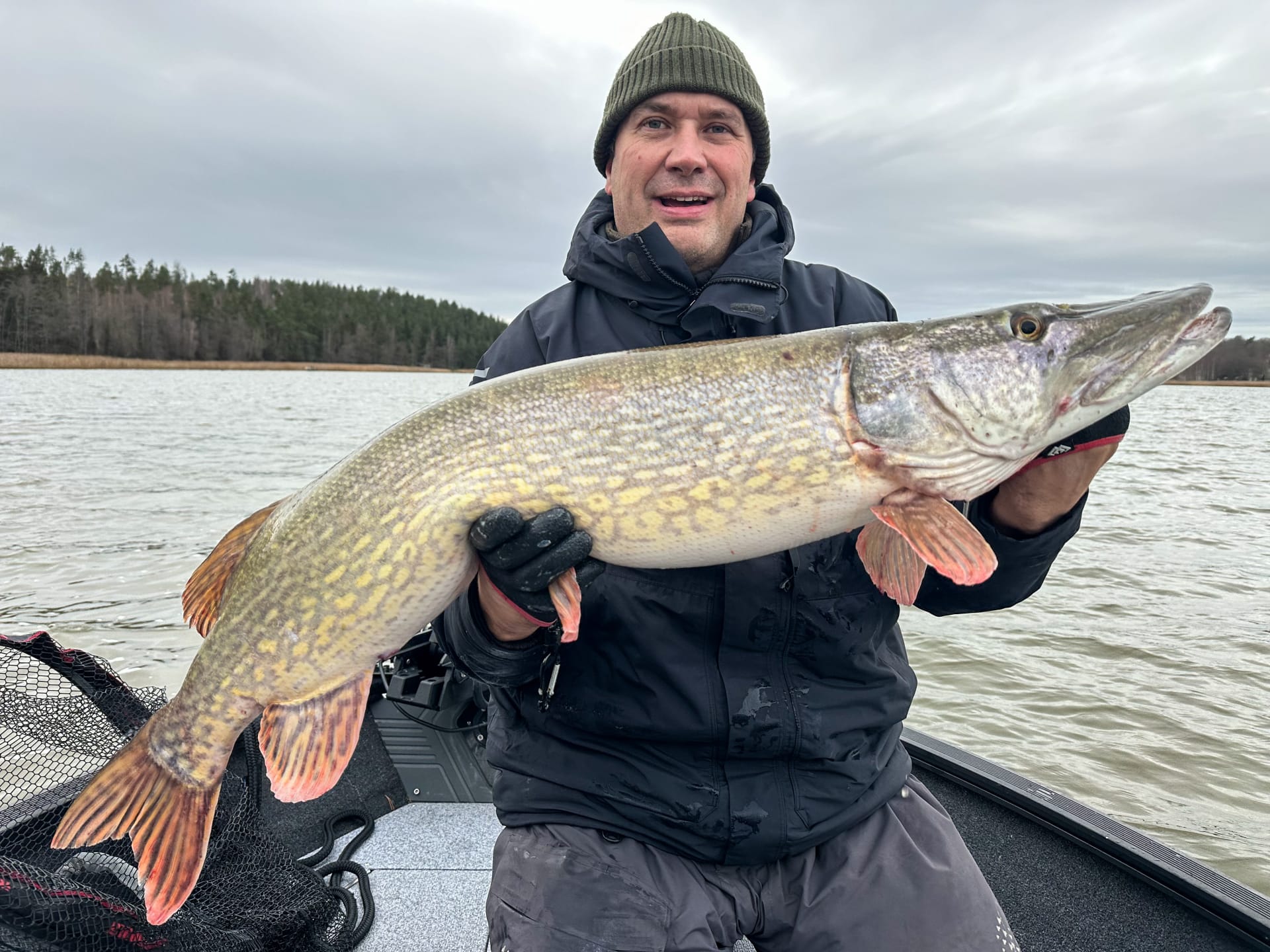 Big Pike of Archipelago sea Big Pike of Archipelago sea