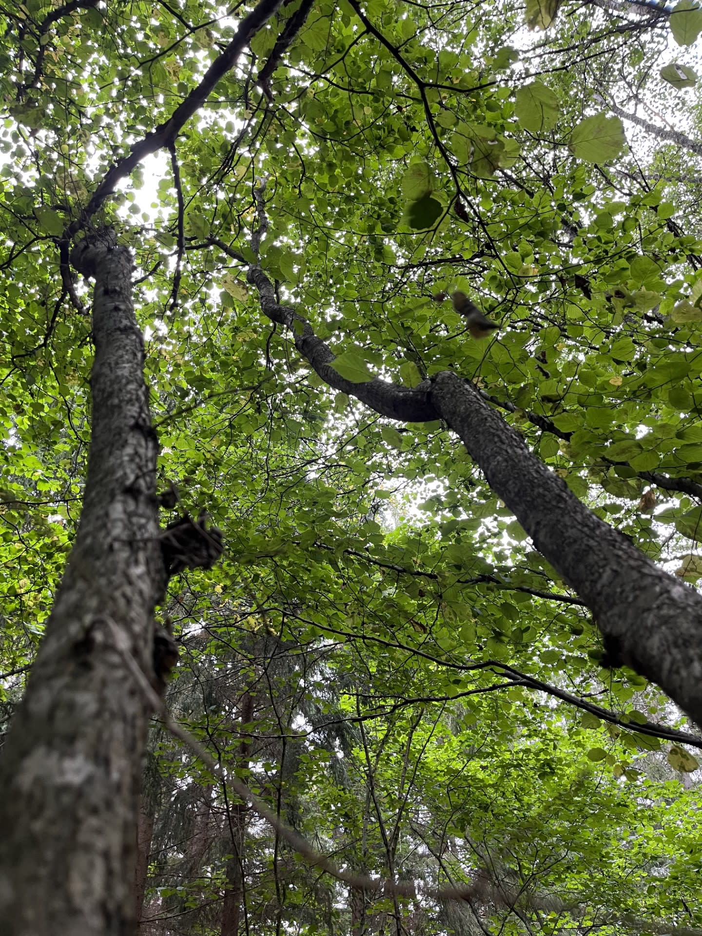 Biosfärstigen Biosfärstigen