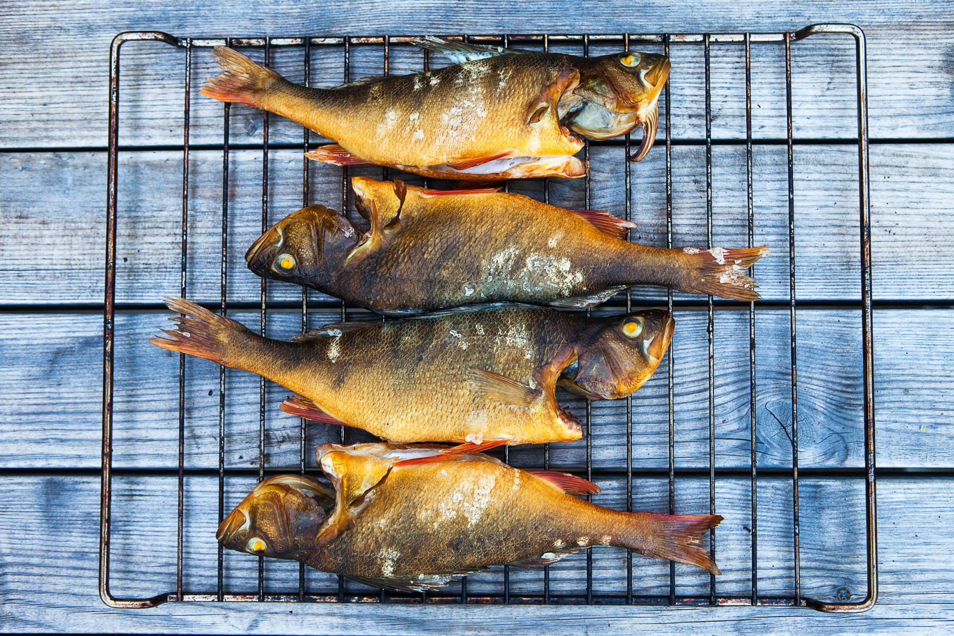 Seafood smoked bass