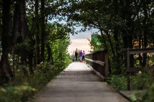 Säppi nature