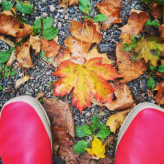 There are many ways to experience nature