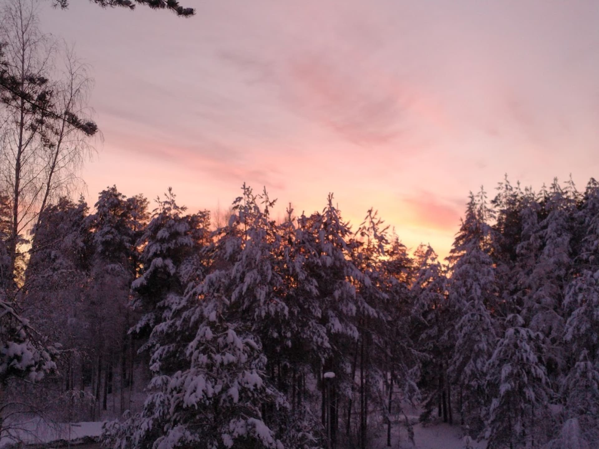 Finland has four seasons to experience