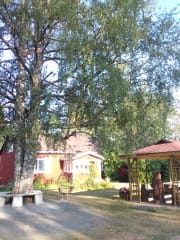 Pihakuva marjatilasta