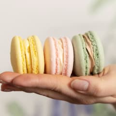 Wonderful macaron cookies with different flavours