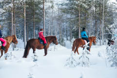 ,5h maastovaellus - Koe rento maastoretki yhdessä varmajalkaisen suomenhevosen kanssa. Ratsasta kuusamolaisessa metsässä ja ihaile vaaramaisemia