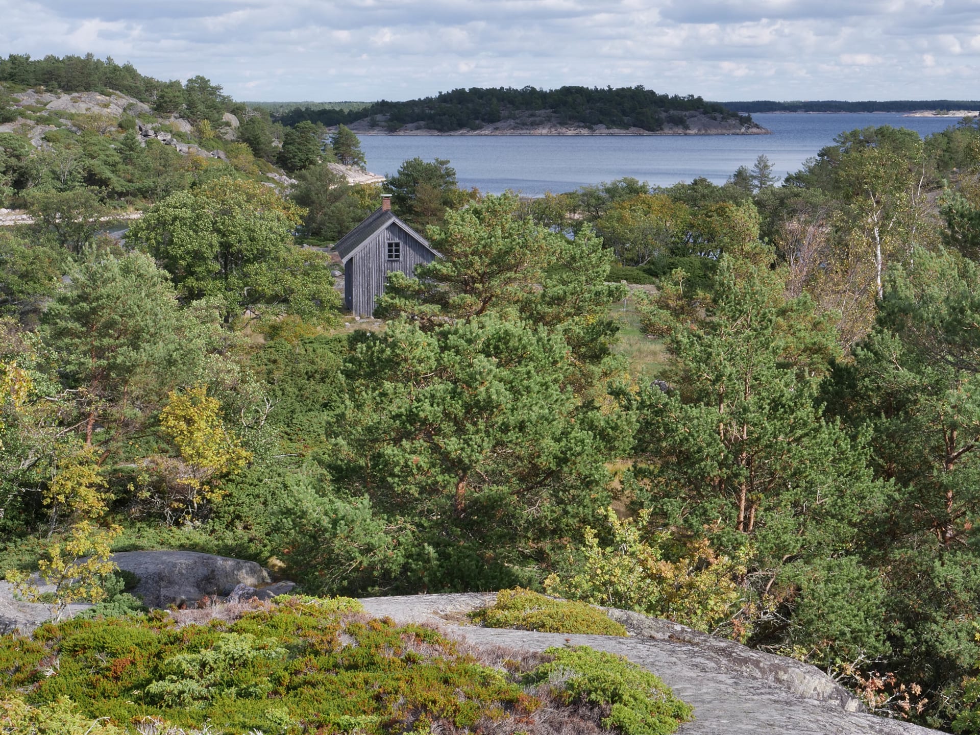 Kuva on otettu kallion laelta yli saaren. Harmaa talo erottuu mäntyjen keskellä. Kuvan takaosassa on merta ja muita saaria. The gray house stands out among the pine trees. In the back of the picture is the sea and other islands.