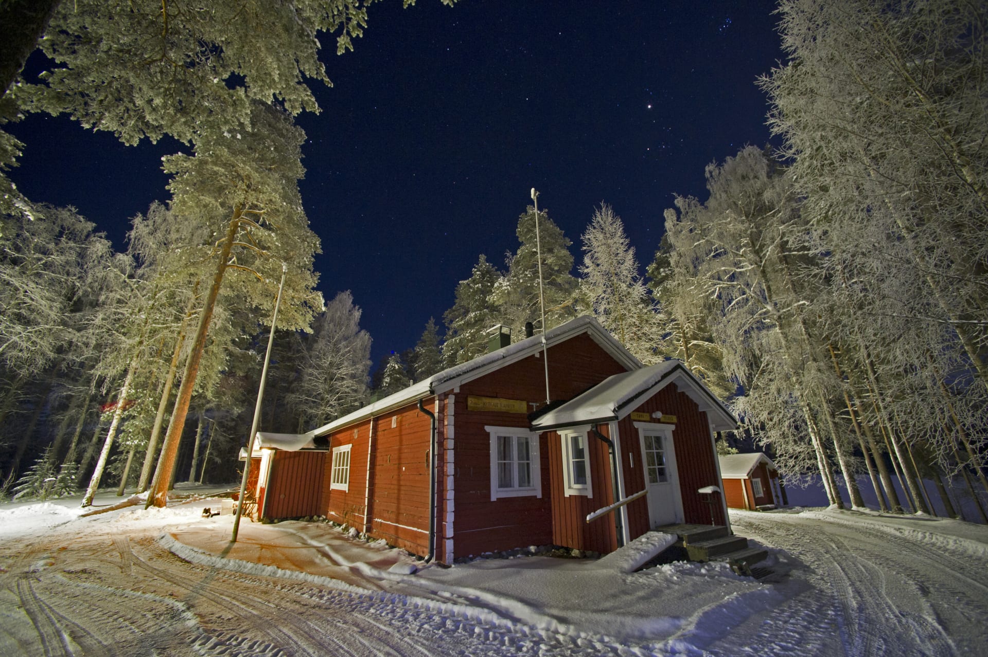 Arctic wolf and Auroras - Kuikka Camp in Kuhmo