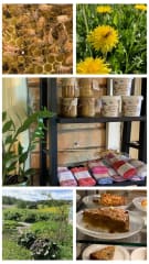 Kesäkahvila Villa Ponsa