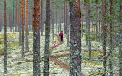 Lasten retkipäivä Rokualla