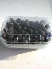 Särkilammin marjatila